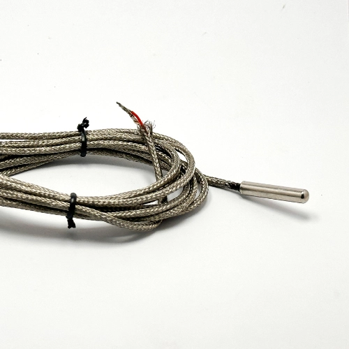 Temperature Probes_